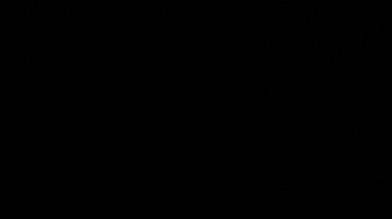 Isaac 'Pitbull' Cruz