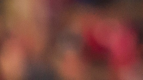 El Piojo afronta una nueva temporada con los Xolos.