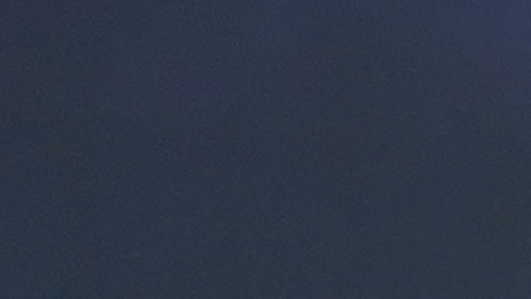 Trump durante un mitin electoral en Carolina del Sur, un evento de su campaña para las elecciones de 2024.