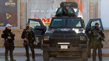 Seguridad en Torreón