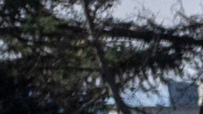 SEATTLE, WASHINGTON - MARCH 12: A homeless man checks on a friend who had passed out after smoking fentanyl at a homeless encampment on March 12, 2022 in Seattle, Washington. The city government is currently working to remove such encampments from shared spaces throughout Seattle. According to a recent report commissioned by Seattle Councilmember Andrew Lewis, the COVID-19 pandemic put undue pressure on the city's shelter system and delayed funds for new housing, leading to an increase in homelessness. (Photo by John Moore/Getty Images)