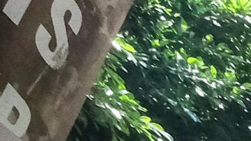 Striking hotel workers walk the picket line outside of Hotel Figueroa in Los Angeles, California, on July 2, 2023. Thousands of hotel workers in Southern California walked off the job on Sunday, in an effort to secure higher pay and improvements in health care and retirement benefits. (Photo by RINGO CHIU / AFP) (Photo by RINGO CHIU/AFP via Getty Images)