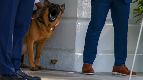 Commander, el perro de los Biden, suma al menos diez veces a agentes del Servicio Secreto en el último año