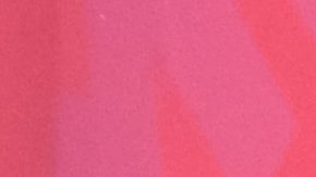 Sandra Echeverría cuenta que obligó a Leonardo de Lozanne a que se casaran