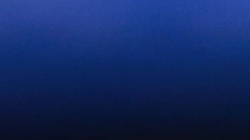 Pizarro se reencontrará con Almeyda.