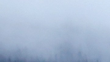 Tres personas heridas durante un tiroteo en una tienda en Florida