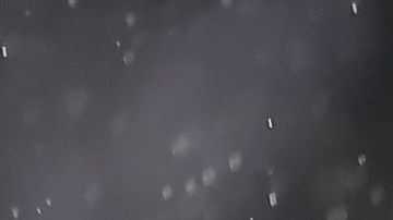 Pizarro jugó cedido en Rayados de Monterrey.