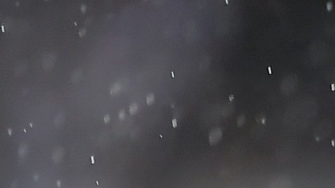 Pizarro jugó cedido en Rayados de Monterrey.