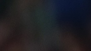 Sergio Canales y Andrés Guardado hicieron una gran dupla en el Betis.