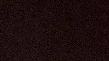 Ricardo Pepi con la selección de Estados Unidos.