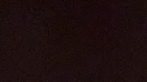 Ricardo Pepi con la selección de Estados Unidos.