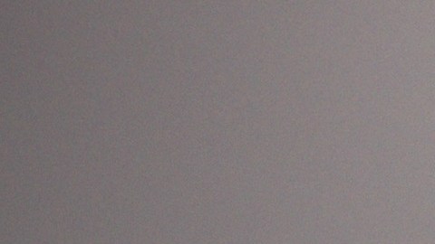 Hombre roba montacargas de tienda en Maryland y mata a mujer tras arrollar su auto