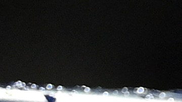 Koeman fue despedido durante la era de Laporta.