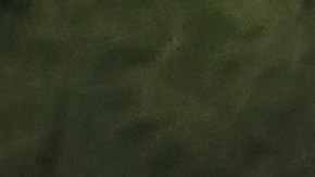 Ambulancia en partido de fútbol.