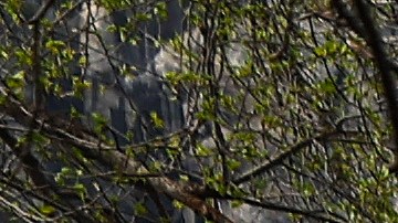 Encuentran cuerpo de excursionista desaparecido en Parque Nacional Yosemite