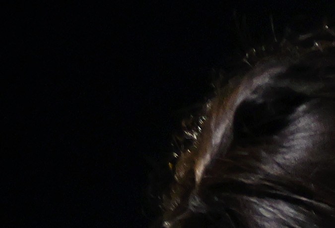 YUMA, ARIZONA - MAY 10: Immigrants seeking asylum in the United States walk to a bus as they are processed by U.S. Border Patrol agents in the early morning hours after crossing into Arizona from Mexico on May 10, 2023 in Yuma, Arizona. A surge of immigrants is expected with the end of the U.S. government's Covid-era Title 42 policy, which for the past three years has allowed for the quick expulsion of irregular migrants entering the country. (Photo by Mario Tama/Getty Images)