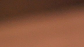 Fernando Ortiz, entrenador de Rayados de Monterrey en la Liga MX.