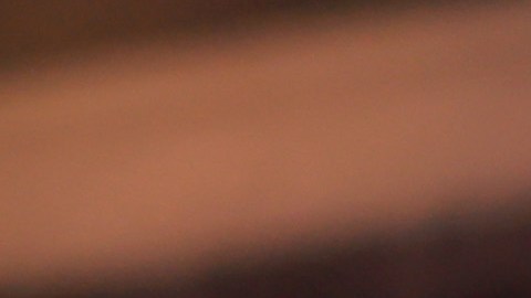 Fernando Ortiz, entrenador de Rayados de Monterrey en la Liga MX.