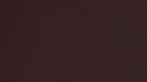 Robert Dante Siboldi, entrenador de Tigres de la UANL.