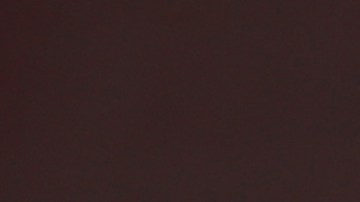 Robert Dante Siboldi, entrenador de Tigres de la UANL.