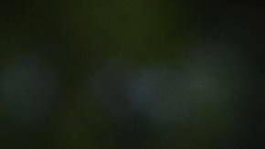 Neymar Jr. en el GP de Mónaco.