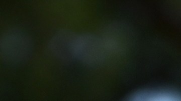 Neymar Jr. en el GP de Mónaco.