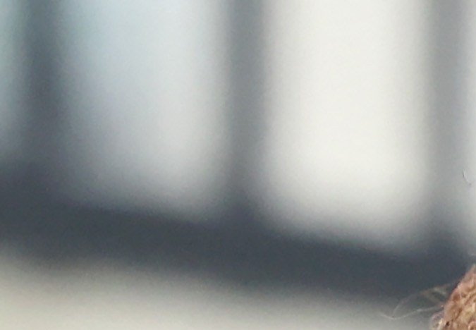 LOS ANGELES, CALIFORNIA - MAY 31: Los Angeles Mayor Karen Bass (L) speaks as U.S. Health and Human Services Secretary Xavier Becerra looks on at a news conference following a tour and roundtable discussion at an Asian American Drug Abuse Program facility on May 31, 2023 in Los Angeles, California. Becerra and Bass participated in a roundtable discussion about pairing substance abuse and mental health treatment with solutions to homelessness amid a housing crisis in Los Angeles. (Photo by Mario Tama/Getty Images)