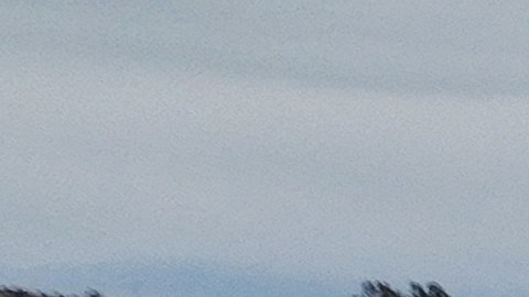 Las intensas lluvias del pasado invierno incrementaron los recursos acuíferos de California al cien por ciento.