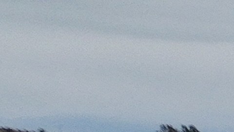 Las intensas lluvias del pasado invierno incrementaron los recursos acuíferos de California al cien por ciento.