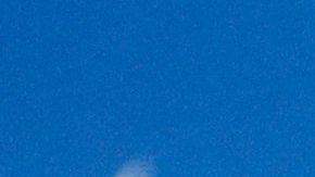 Luis Enrique es nuevo entrenador del PSG.