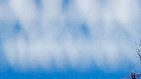 Luis Enrique, entrenador del PSG de cara a la próxima temporada.
