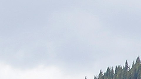 Cuerpos encontrados en campamento de Colorado eran de una familia que intentaba vivir desconectada de la ciudad