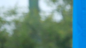 Cientos participan en una marcha en protesta por la ley antiinmigrante de Florida.