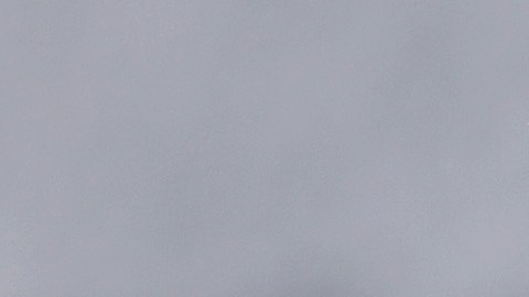 Inmigrantes y minorías enfrentan nuevos retos en Estados Unidos.