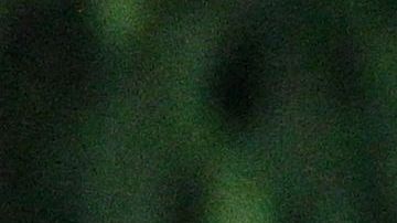 Zelensky,canta el himno nacional de Ucrania en el evento por el regreso de los comandantes que sostuvieron la resistencia de Mariupol.