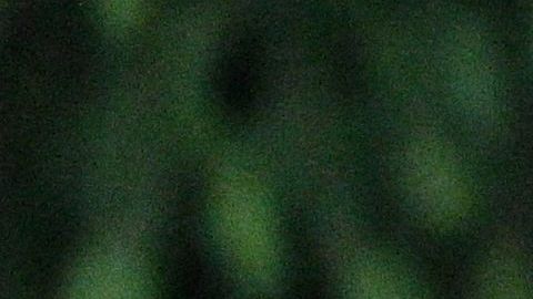 Zelensky,canta el himno nacional de Ucrania en el evento por el regreso de los comandantes que sostuvieron la resistencia de Mariupol.