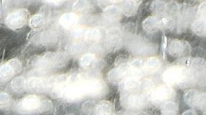 Varios países también registraron temperaturas que rompieron récords de calor en junio.