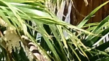 A man takes a selfie beside a thermometer showing 102 degrees farenheit in Baker, California on July 11, 2023, amidst a heat wave. More than 50 million Americans are set to bake under dangerously high temperatures this week, from California to Texas to Florida, as a heat wave builds across the southern United States. (Photo by Frederic J. BROWN / AFP) (Photo by FREDERIC J. BROWN/AFP via Getty Images)
