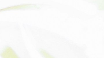 Daniel Ricciardo con el Red Bull Racing en la F1.