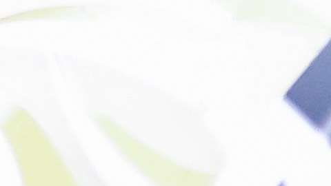 Daniel Ricciardo con el Red Bull Racing en la F1.