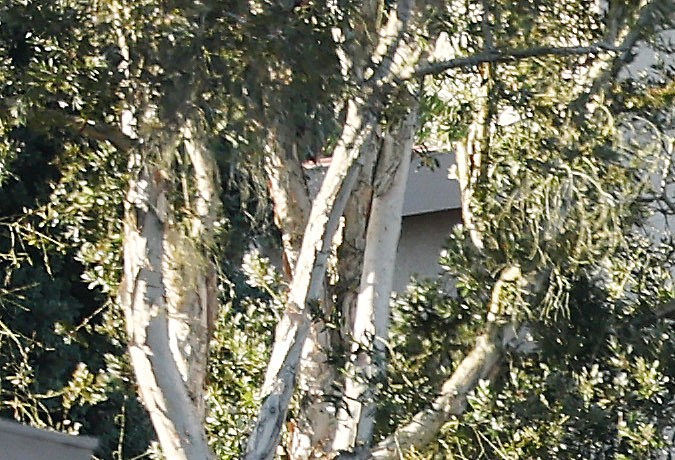 ROLLING HILLS ESTATES, CALIFORNIA - JULY 11: A view of upscale homes (R) destroyed by a landslide on Palos Verdes Peninsula on July 11, 2023 in Rolling Hills Estates, California. The still unexplained landslide destroyed 12 homes over the weekend and has sent ten of the homes slowly sliding toward a canyon below, forcing the City Council to declare a local state of emergency. (Photo by Mario Tama/Getty Images)