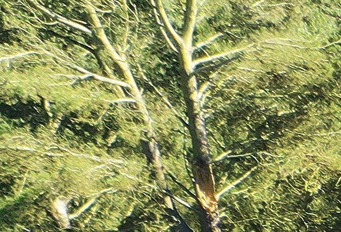 ROLLING HILLS ESTATES, CALIFORNIA - JULY 11: An aerial view of upscale homes destroyed by a landslide on Palos Verdes Peninsula on July 11, 2023 in Rolling Hills Estates, California. The still unexplained landslide destroyed 12 homes over the weekend and has sent ten of the homes slowly sliding toward a canyon below, forcing the City Council to declare a local state of emergency. (Photo by Mario Tama/Getty Images)
