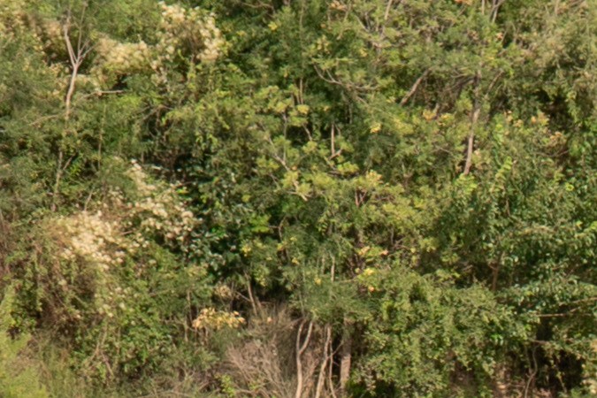 Migrantes caminan junto al muro de boyas colocadas en la frontera de Río Grande con México en Eagle Pass, Texas, el 16 de julio de 2023.