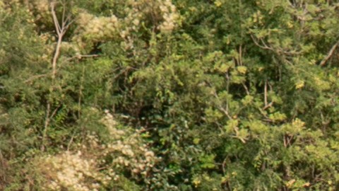 Migrantes caminan junto al muro de boyas colocadas en la frontera de Río Grande con México en Eagle Pass, Texas, el 16 de julio de 2023.