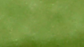 Neymar no se ha recuperado de su lesión en el tobillo.