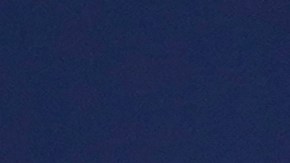 Alejandro Kirk celebra su cuadrangular ante los Padres de San Diego.