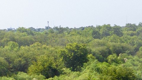 A inicios de julio, el Gobierno de Texas colocó boyas con púas en Eagle Pass.