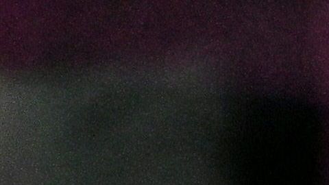 Lionel Messi celebrando con compañeros del Inter Miami.