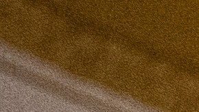 El senador John Barraso trata de ayudar a McConnell después de que este se quedó enmudecido en medio de una frase.