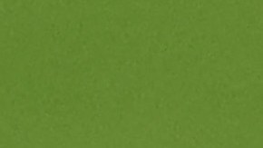 Medio español Sergio Canales en su presentación con Rayados.